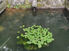 -韬光茶庵