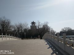 -天津水上公园