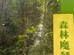 -莫里热带雨林景区