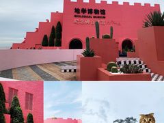 -漳州滨海火山岛自然生态风景区