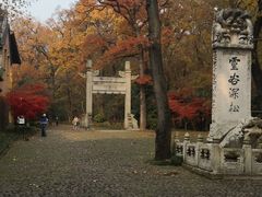 -灵谷景区
