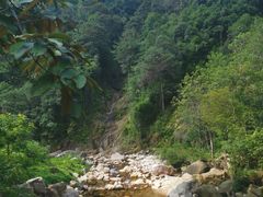 -姑婆山旅游区