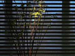 -Love Story爱情故事·养生SPA会所(新侨店)