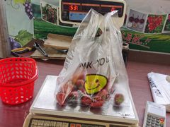 -普迪生态园