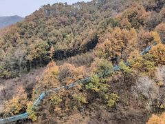 -栾川竹海野生动物园