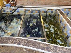 -缘福乡村铁锅炖民宿(八达岭店)