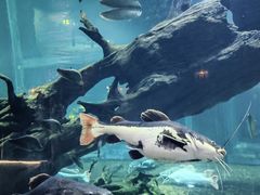 -华夏文旅海洋公园