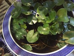 -万卉源鲜花店(百尚生活广场店)