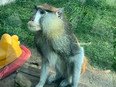 -青藏高原野生动物园
