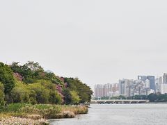 -南宁南湖公园