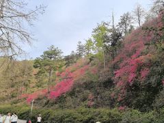 -木兰云雾山