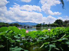 -飞来湖湿地公园