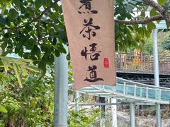 -广东天露山旅游度假区