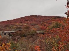 -周口店坡峰岭风景区