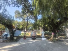 -北陵公园