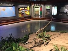 -自贡恐龙博物馆