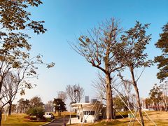 -白石龙音乐公园