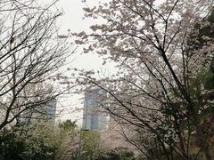 -百林公园-两江幸福广场