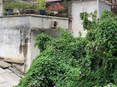 -中山纪念堂