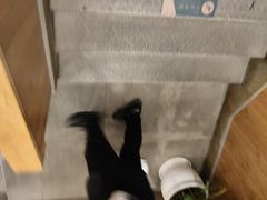 -7017浙菜•建德味(中财店)