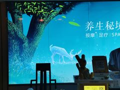 -道合堂·中式按摩·spa(民治店)