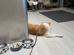 -YCHL Studios健身工作室(市二宫店)