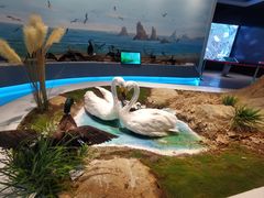 -大连市规划展示中心