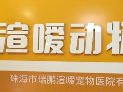 -渲嗳动物医院(异宠·复杂内科转诊中心·玖洲道富华里分院)