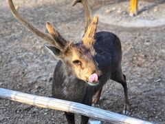 -北京动物园-畅观楼