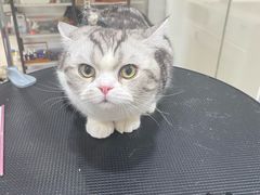 -熊小胖宠物生活馆(天华园店)