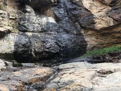 -鲁山国家森林公园