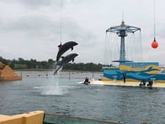 -秦皇岛乐岛海洋王国