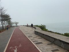 -万绿园