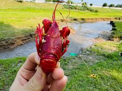 -锅圈食汇火锅烧烤食材超市(建材城西一里店)