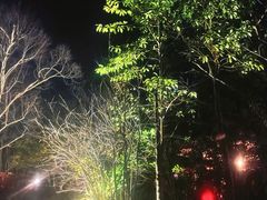 -深业半汤御泉庄温泉