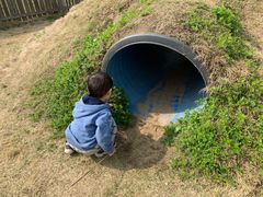 -前小桔亲子创意农场·草莓采摘·露营烧烤