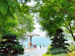 -铁山坪森林公园