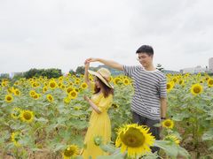 -光明小镇欢乐田园