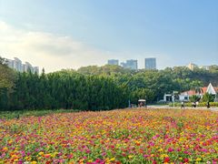 -南沙蒲洲花园