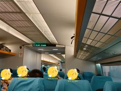 -龙阳路磁悬浮列车总站-停车场