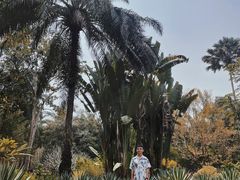 -中国科学院西双版纳热带植物园
