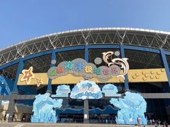 -泉城欧乐堡海洋极地世界