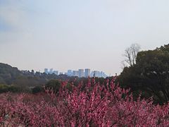 -无锡梅园公园
