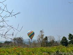 -中国科学院西双版纳热带植物园