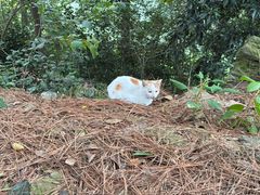 -敬亭山风景名胜区