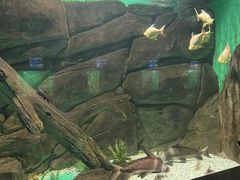 -常州海昌海洋探索馆