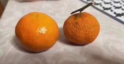 -Cream88颜皮肤管理中心