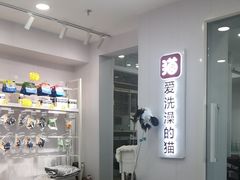 -爱洗澡的猫(望京店)