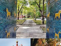 -北京世界公园