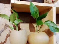 -不贰手作陶艺diy·烧玻璃·银饰团建(人民大学店)